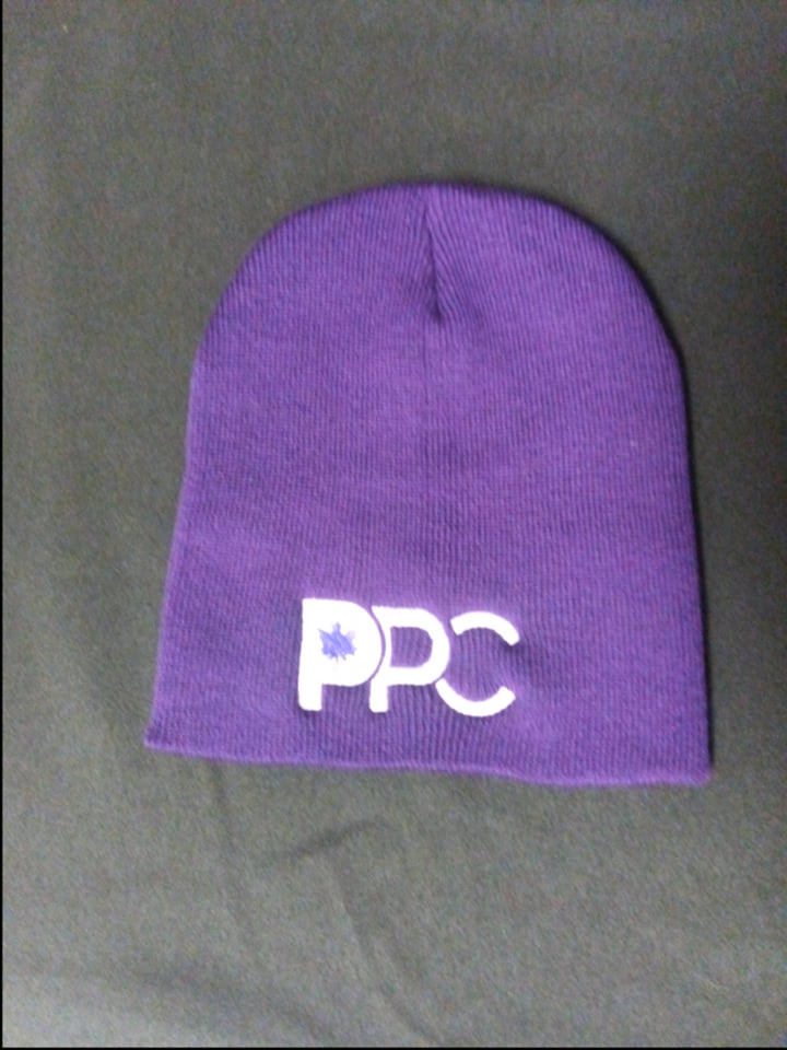 PPC board Beanie Dark Purple
